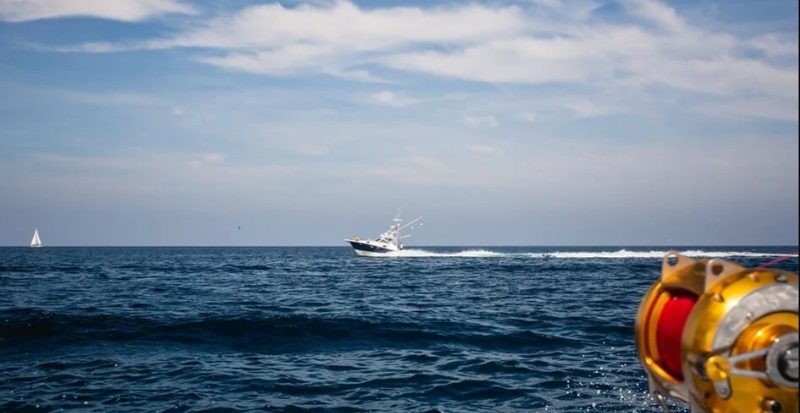 Các bước để giải phóng tàu bị bắt giữ nhanh chóng, an toàn cac buoc de giai phong tau bi bat giu 3 e1730968085395