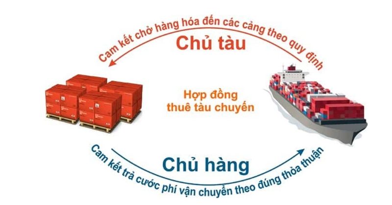 nhung luu y trong hop dong thue tau 1 e1730969427628