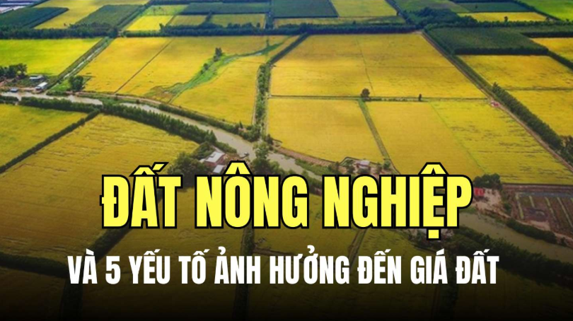 các yếu tố ảnh hưởng đến giá đất đối với đất nông nghiệp là gì