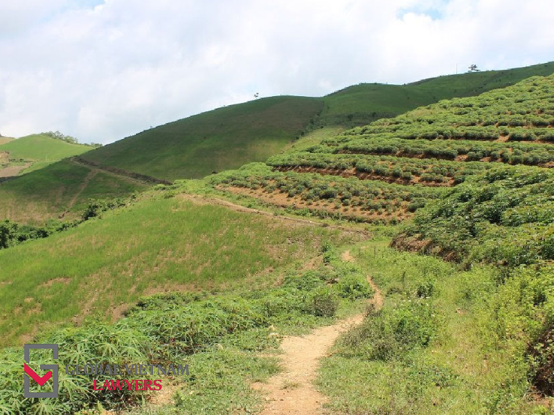 Các trường hợp tranh chấp đất đai phổ biến và cách xử lý theo quy định mới nhất các trường hợp tranh chấp đất đai