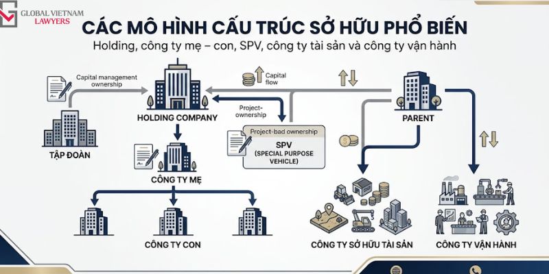 Tư vấn cấu trúc sở hữu tập đoàn