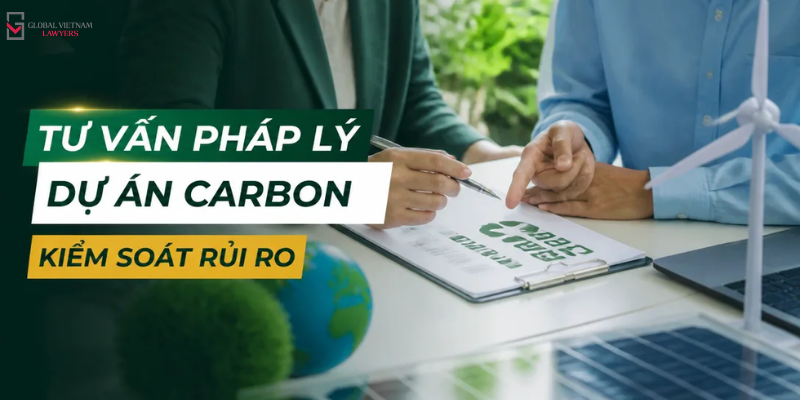 tu van phap ly du an carbon 3